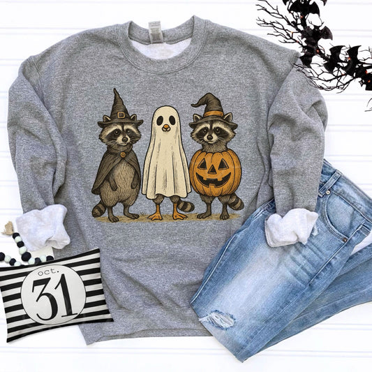 Halloween Raccoons